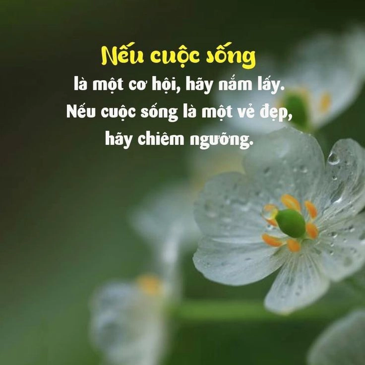 Khám phá những hình ảnh có ý nghĩa trong cuộc sống độc đáo