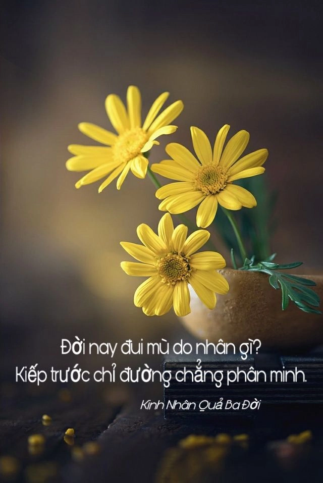 Gợi cảm hứng qua những bức ảnh ý nghĩa về cuộc sống sâu lắng
