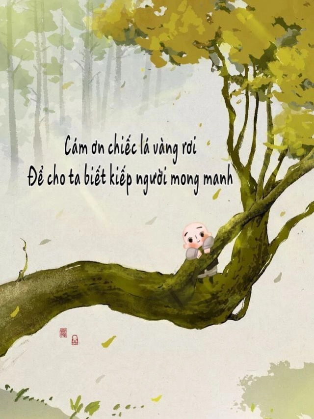 Thưởng thức những hình ảnh có chữ ý nghĩa về cuộc sống mỗi ngày