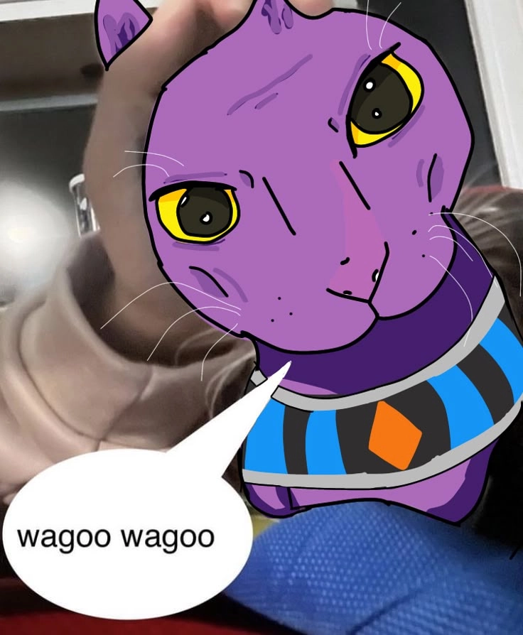 Beerus Memes những bức tranh chế vui nhộn về thần Beerus