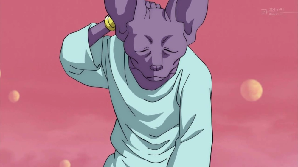 Mèo Beerus tạo hình dễ thương của một vị thần hủy diệt quyền lực