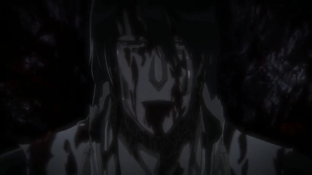 Byakuya died cái chết của Byakuya vẫn là một câu hỏi chưa có lời giải trong Bleach
