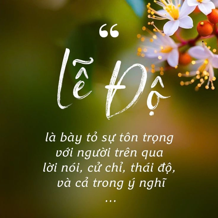 Tìm cảm hứng từ những hình ảnh về cuộc sống ý nghĩa đa sắc