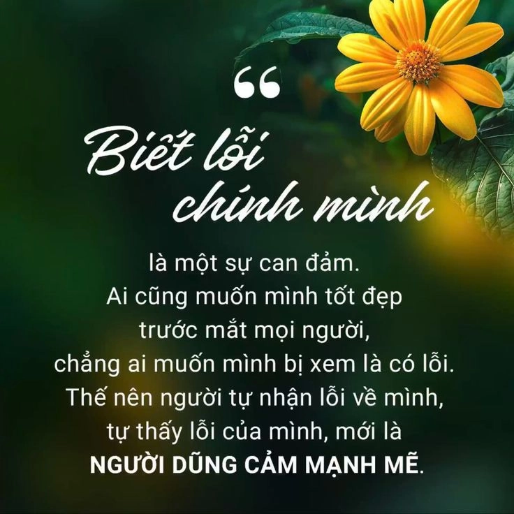 Bộ sưu tập những hình ảnh hay và ý nghĩa về cuộc sống hot nhất