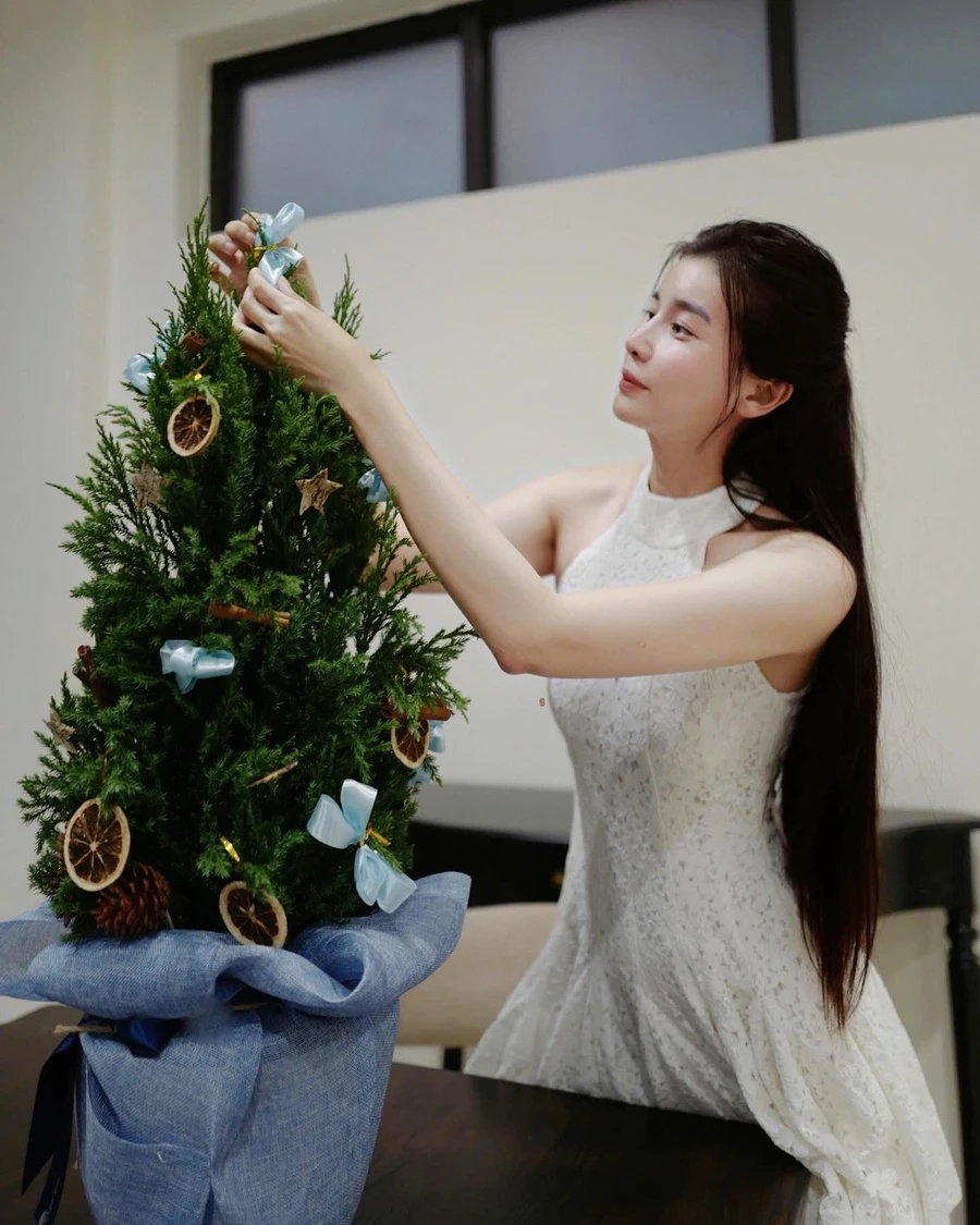 Top các tác phẩm Cao Thái Hà đóng những phim gì nổi bật