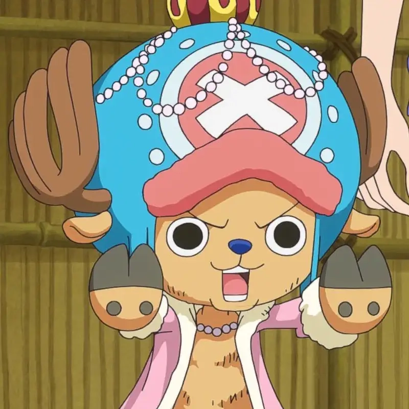Chopper Devil Fruit trái Hito Hito no Mi giúp Chopper biến hình tuyệt vời
