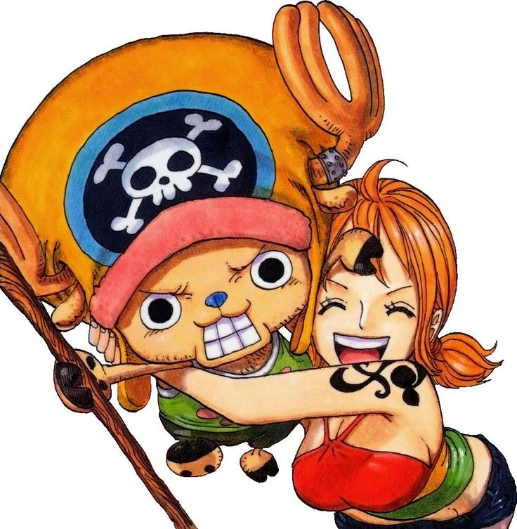 Nami x Chopper tình bạn chân thành giữa thuyền trưởng và bác sĩ