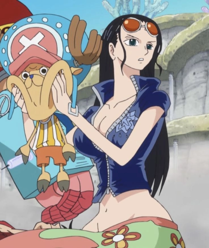 Chopper and Robin hai nhân vật đáng yêu với sự kết hợp hoàn hảo