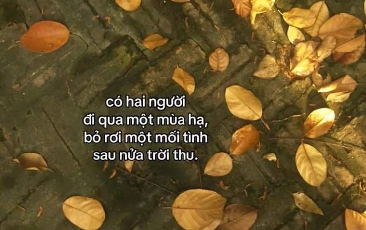 Cảm nhận ảnh thất bại trong tình yêu sâu sắc
