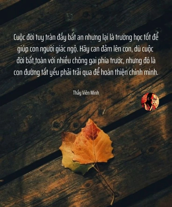 Xem ngay những hình ảnh ý nghĩa trong cuộc sống để thấy nhẹ lòng