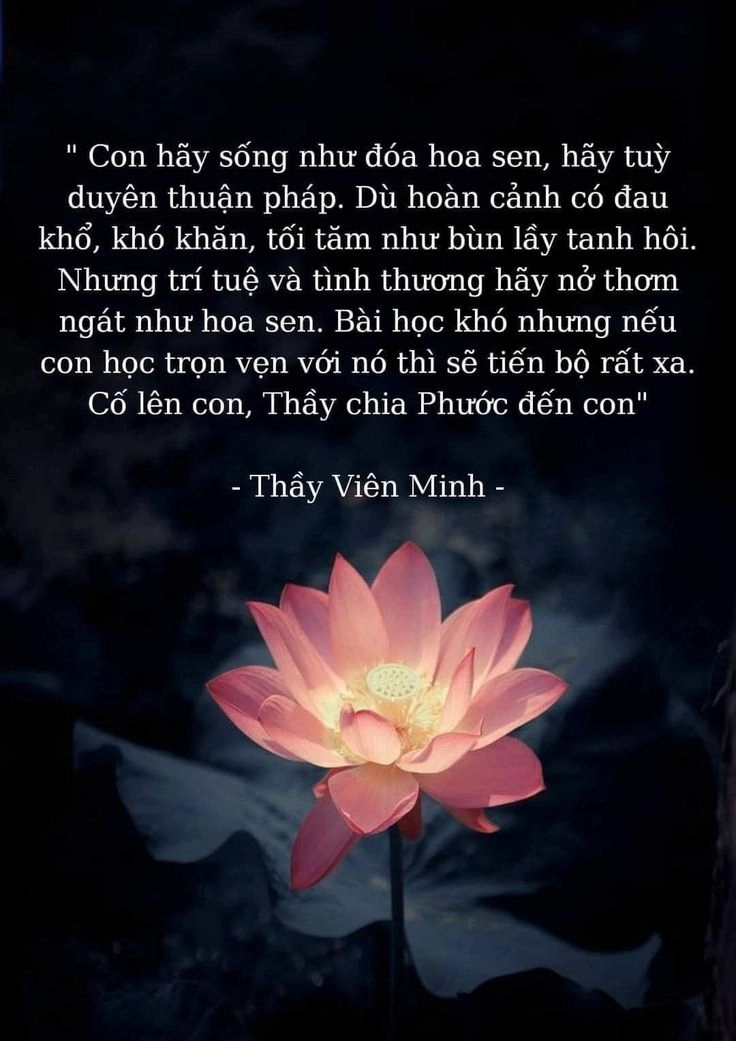 Lưu lại những hình ảnh ý nghĩa về cuộc sống mỗi khoảnh khắc