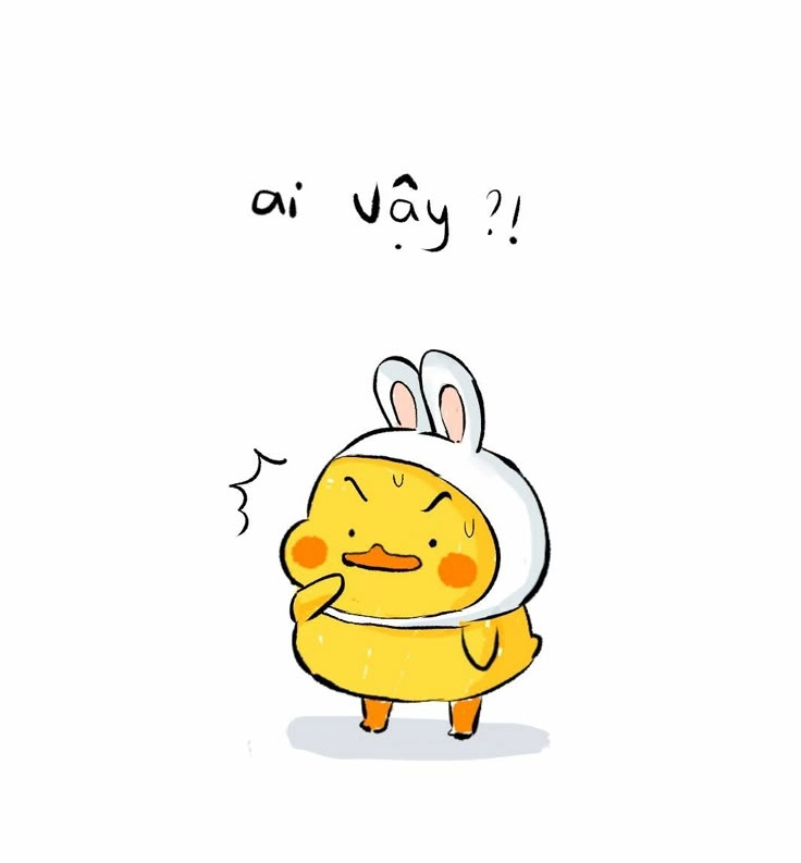 Thêm vui cho ngày mới bằng hình ảnh vịt cute