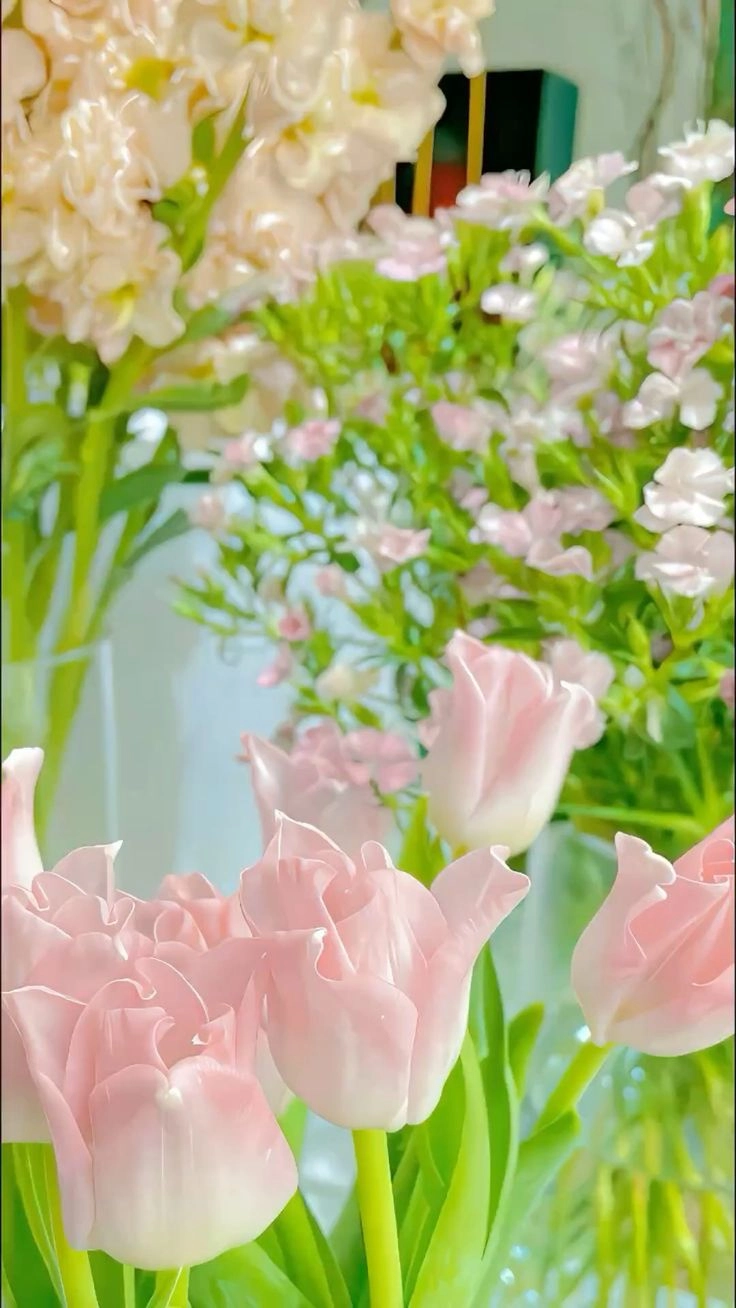 Hình nền máy tính hoa tulip tuyệt đẹp, giúp màn hình thêm lung linh