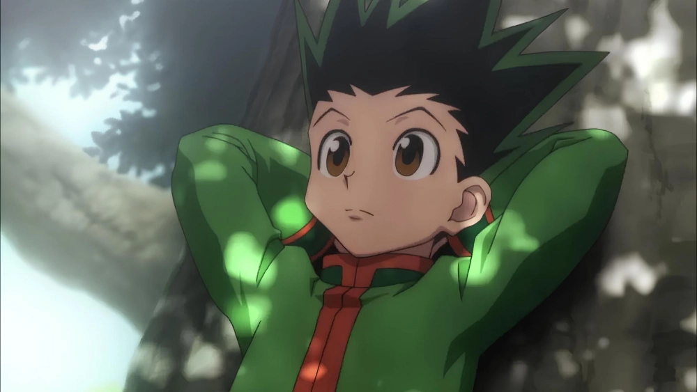 Hunter x Hunter Gon Freecss sinh ra ở đâu, ở đảo Cáo Cáo xa xôi