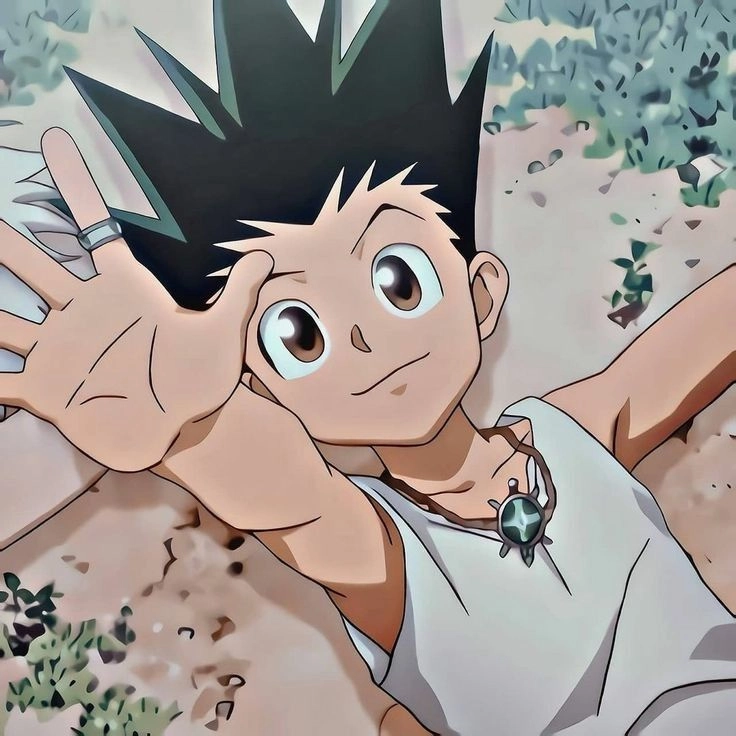 Gon Freecss height là 154 cm trong những tập đầu Hunter x Hunter