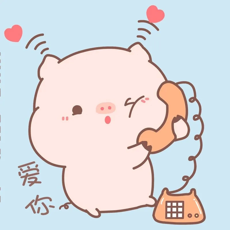 Khám phá thế giới con heo chibi siêu cute hôm nay