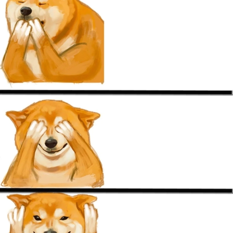 Meme chế ảnh gốc tạo nên những bức ảnh độc đáo không thể thiếu trong bộ sưu tập của bạn