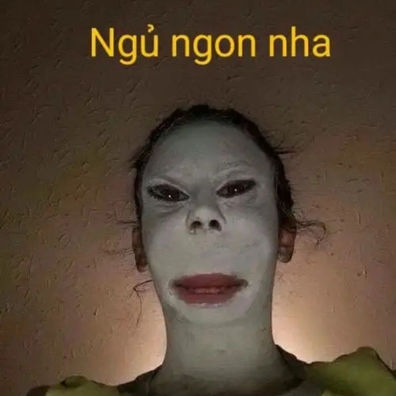 Meme chế hài hước ảnh chế bựa là lựa chọn tuyệt vời để giải trí
