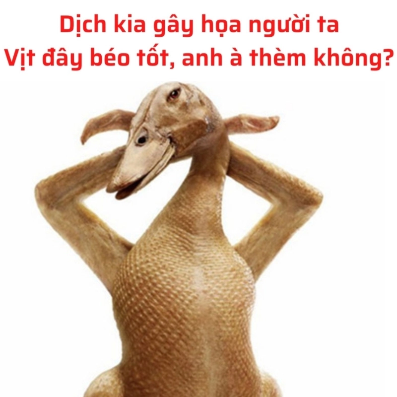 Ai đó vừa nhắc đến meme thịt vịt đầy trớ trêu