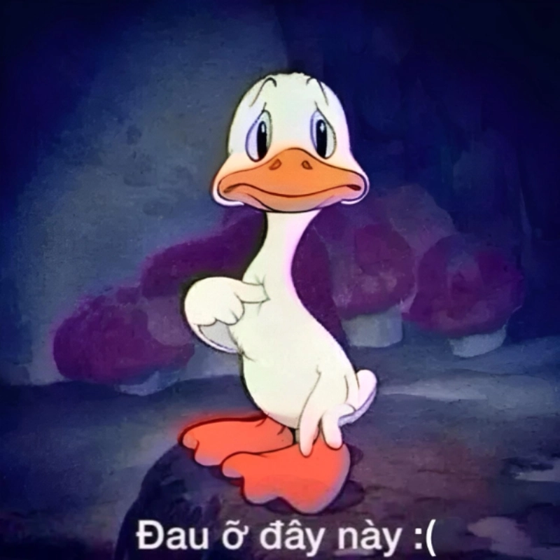 Biểu cảm