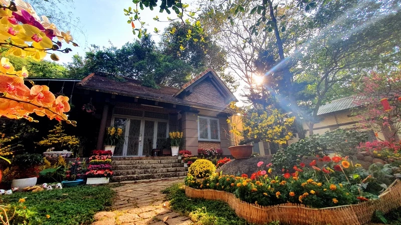 Quang cảnh chùa phật quang vũng tàu thơ mộng, bao quanh bởi rừng núi và mây trời.