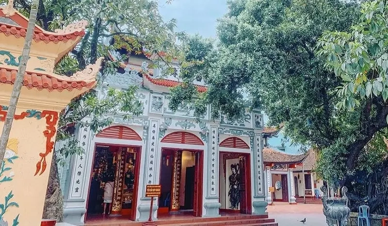 Hoa bay phủ lối vào phủ tây hồ hoa bay