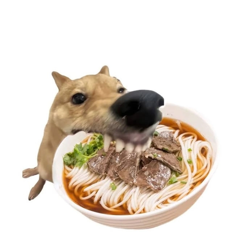 Meme chó gặm với vẻ mặt ngây ngô thật đáng yêu
