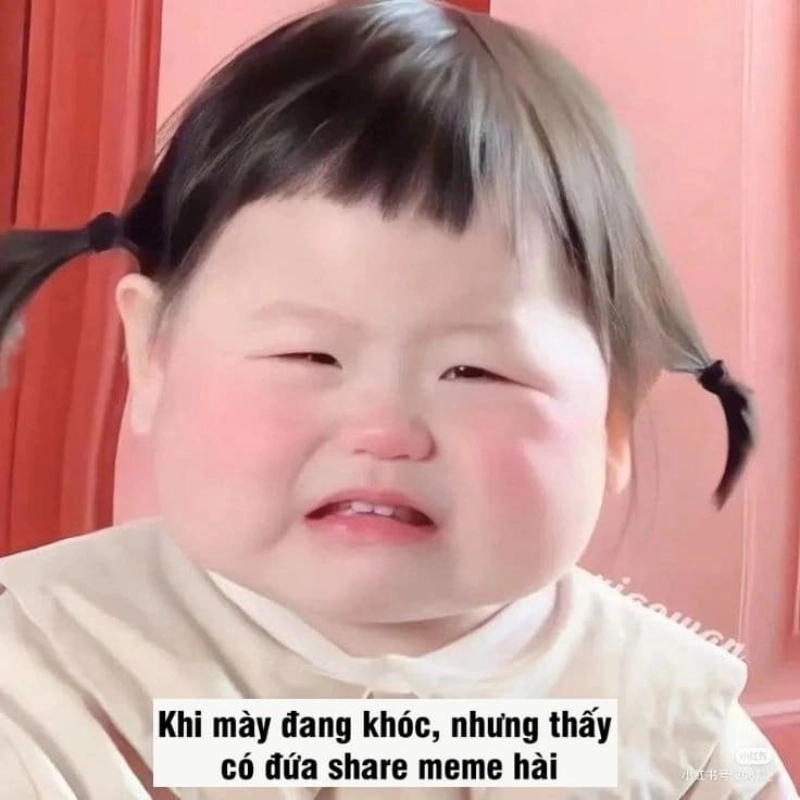 Meme ảnh chế hài hước gây ấn tượng mạnh với những cảnh tượng hài hước mà bạn không thể quên
