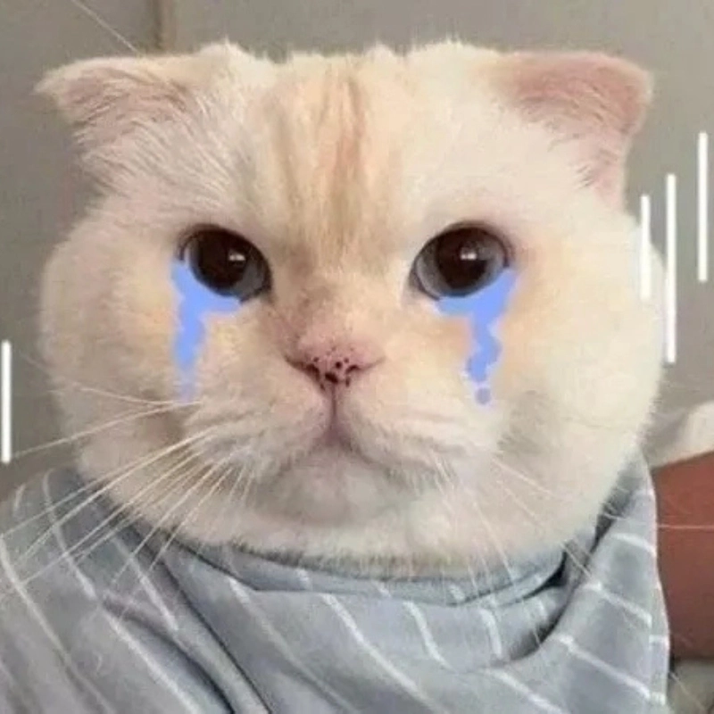 Thương quá đi với ảnh mèo meme khóc cute