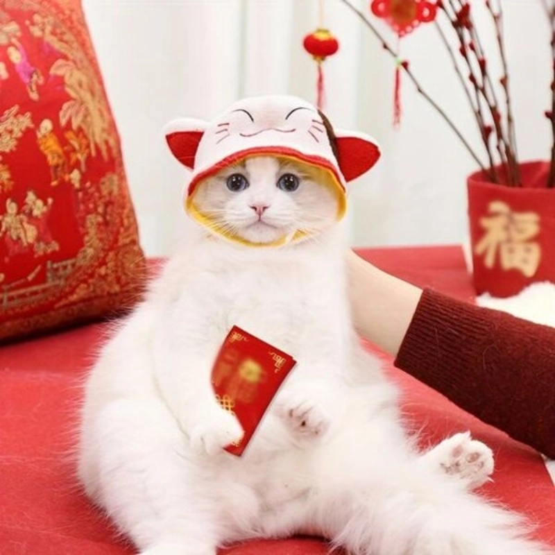 Không khí Tết rộn ràng trong meme mèo cute tết