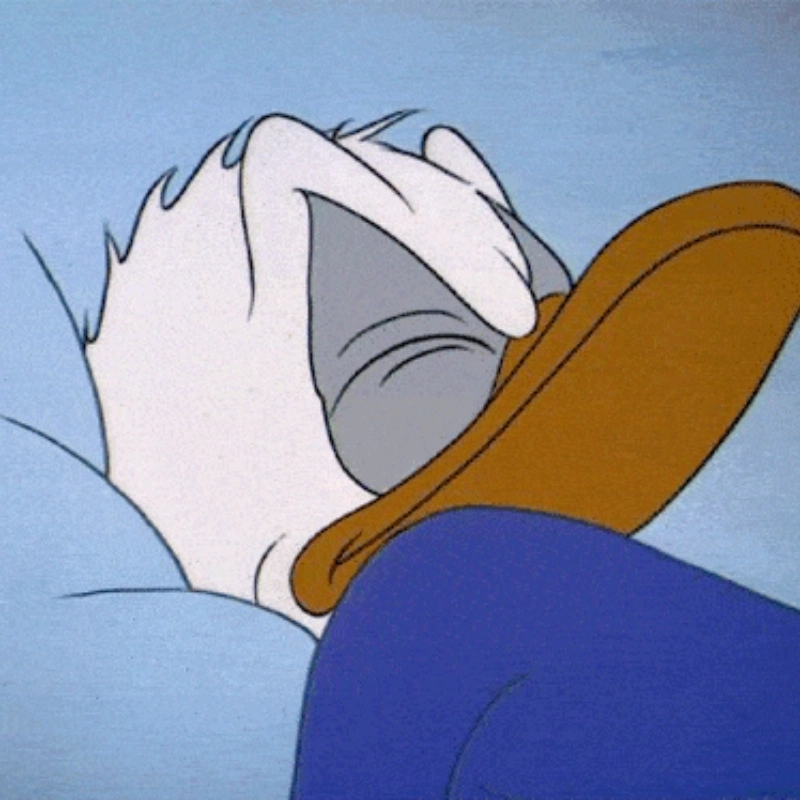 Meme vịt donald ngủ siêu dễ thương