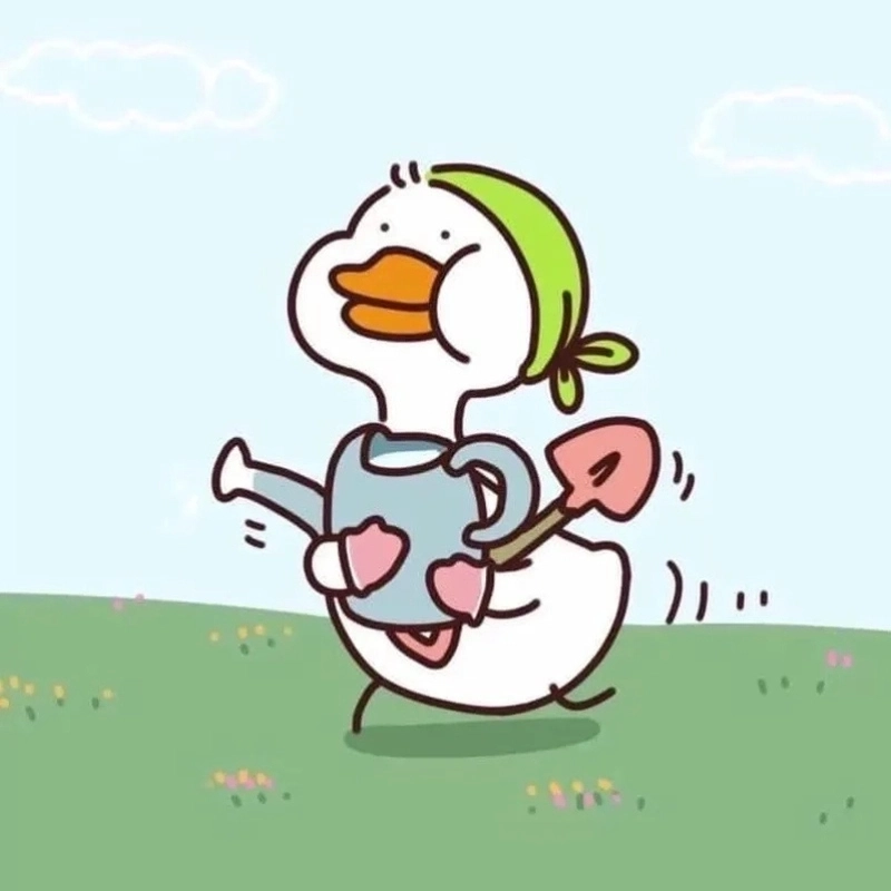 Meme vịt dễ thương cực đáng yêu