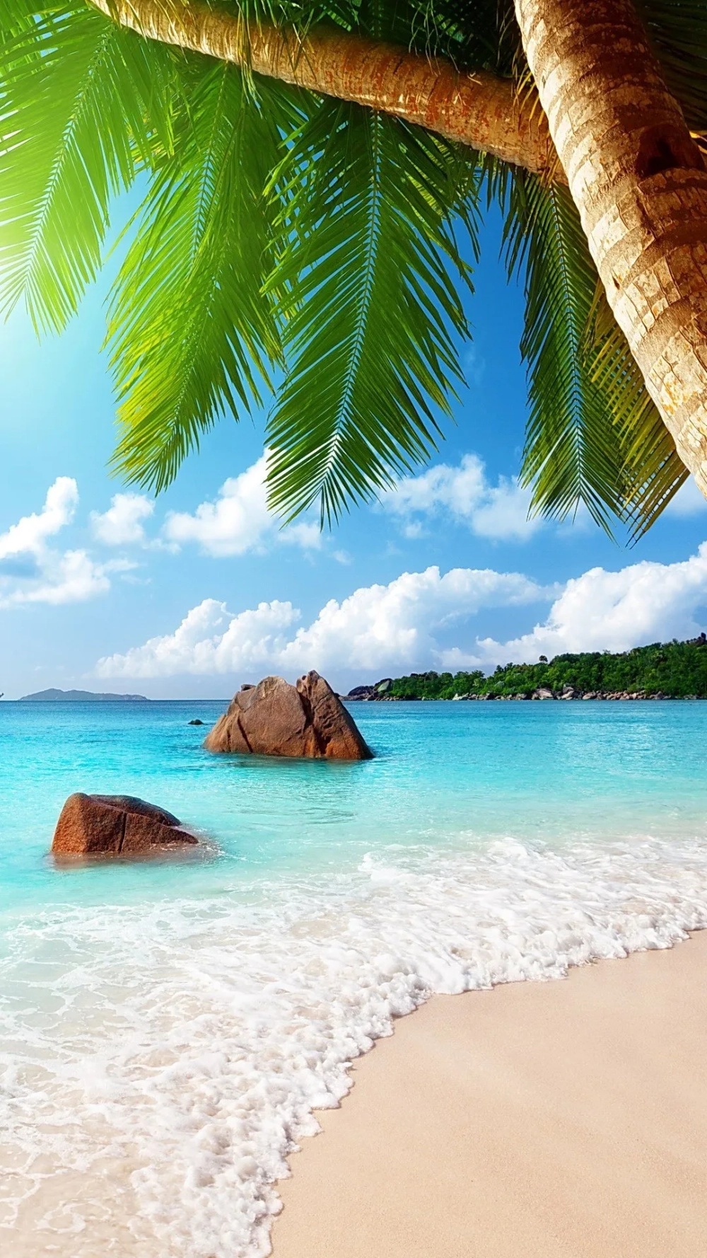 Thêm chút màu sắc biển cả vào điện thoại của bạn với hình nền điện thoại về biển