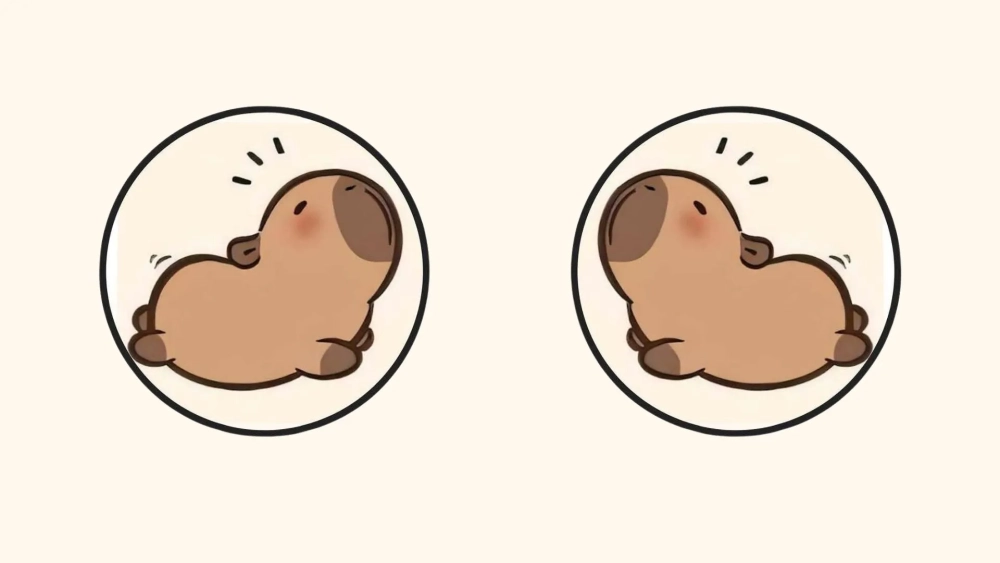 Lựa chọn ảnh hình nền Capybara cho một vẻ đẹp tự nhiên