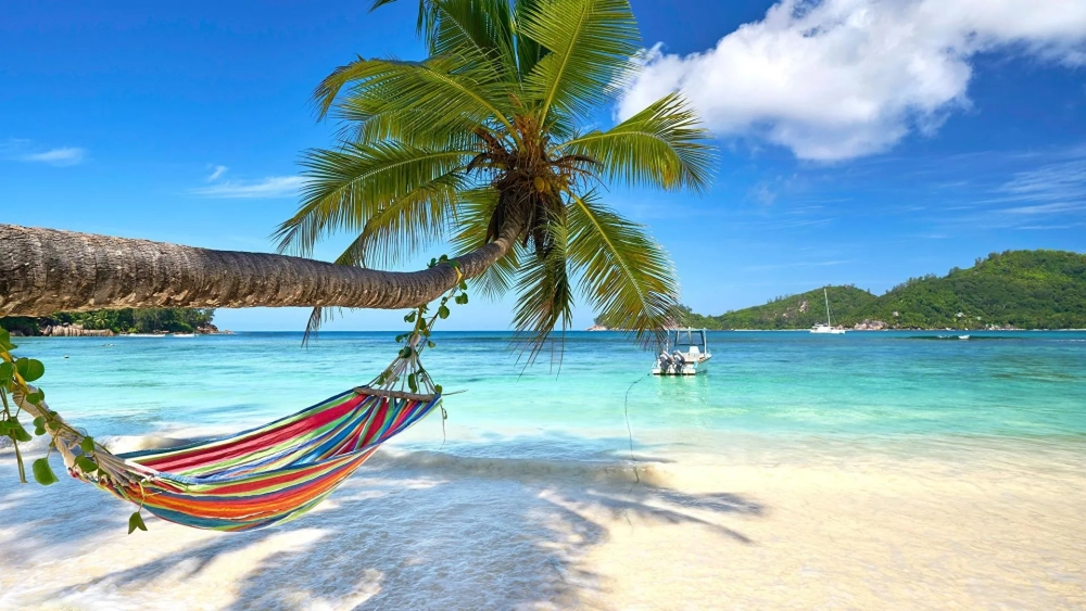Bí quyết thư giãn mỗi ngày là hình nền biển chill yên bình