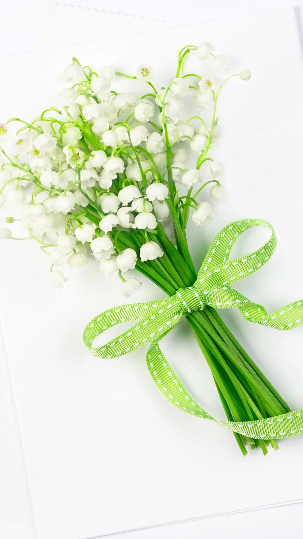 Làm mới màn hình với hình nền hoa linh lan cute