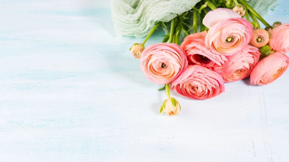 Tặng ngay bó hoa mao lương để thể hiện tình cảm