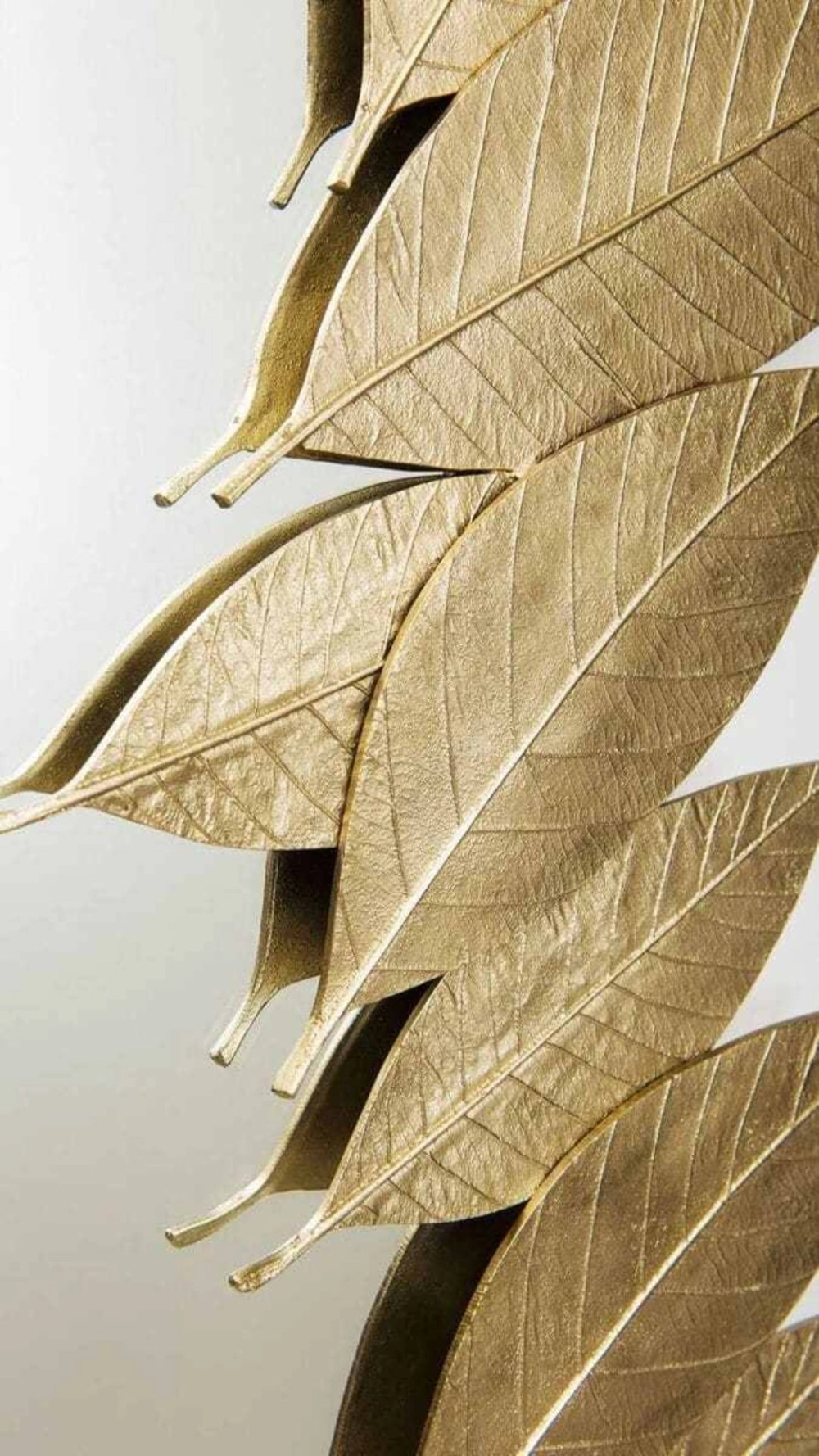 Bạn có tò mò để hình nền lá nguyệt quế có ý nghĩa gì không