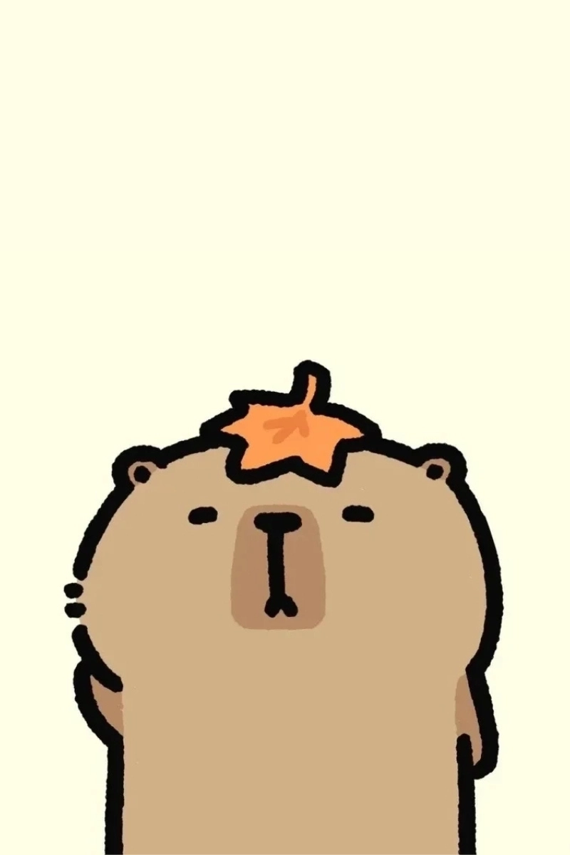 Cài hình nền capybara meme siêu đáng yêu