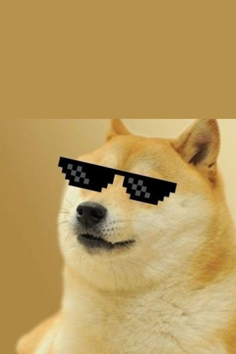 Hình nền meme chó dễ thương cho màn hình