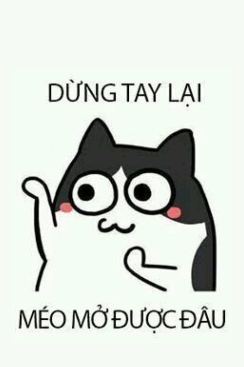 Cập nhật hình nền con mèo meme dễ thương