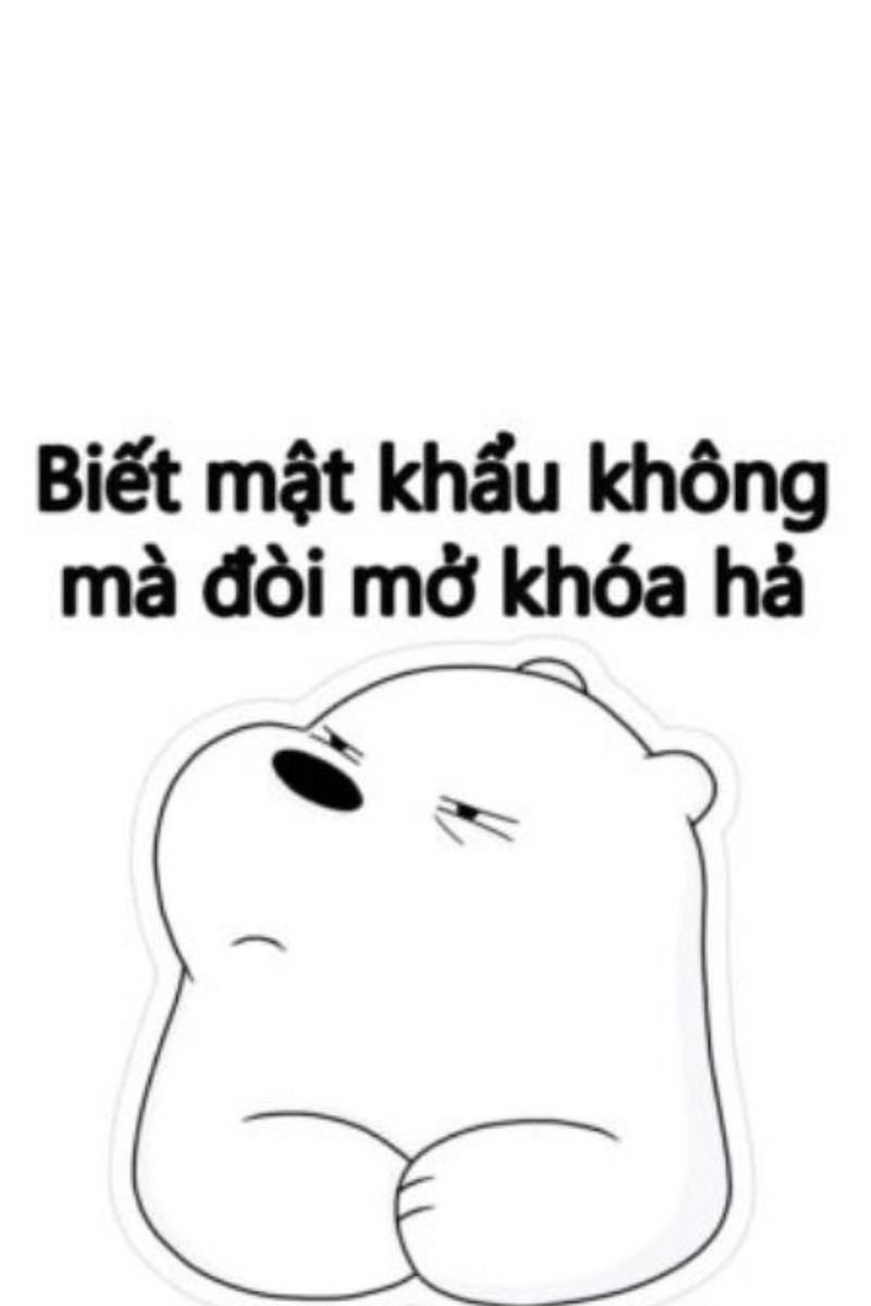 Hình nền meme hài hước làm bạn cười suốt ngày