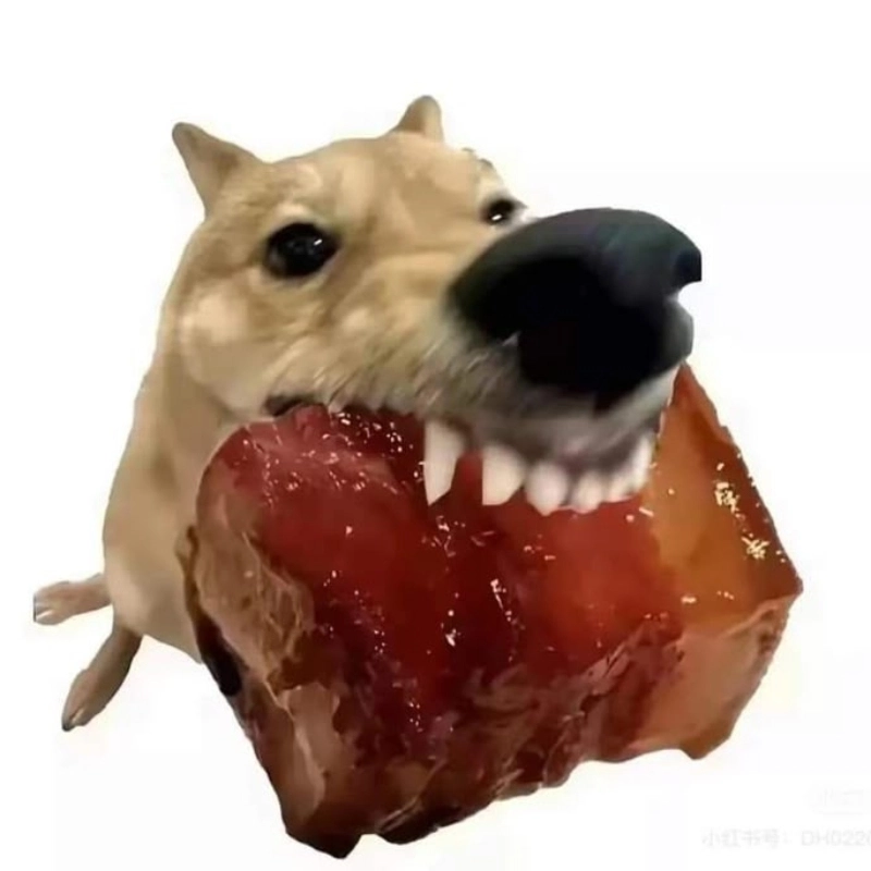 Meme chó gặm thịt kho tàu cực kỳ hài hước