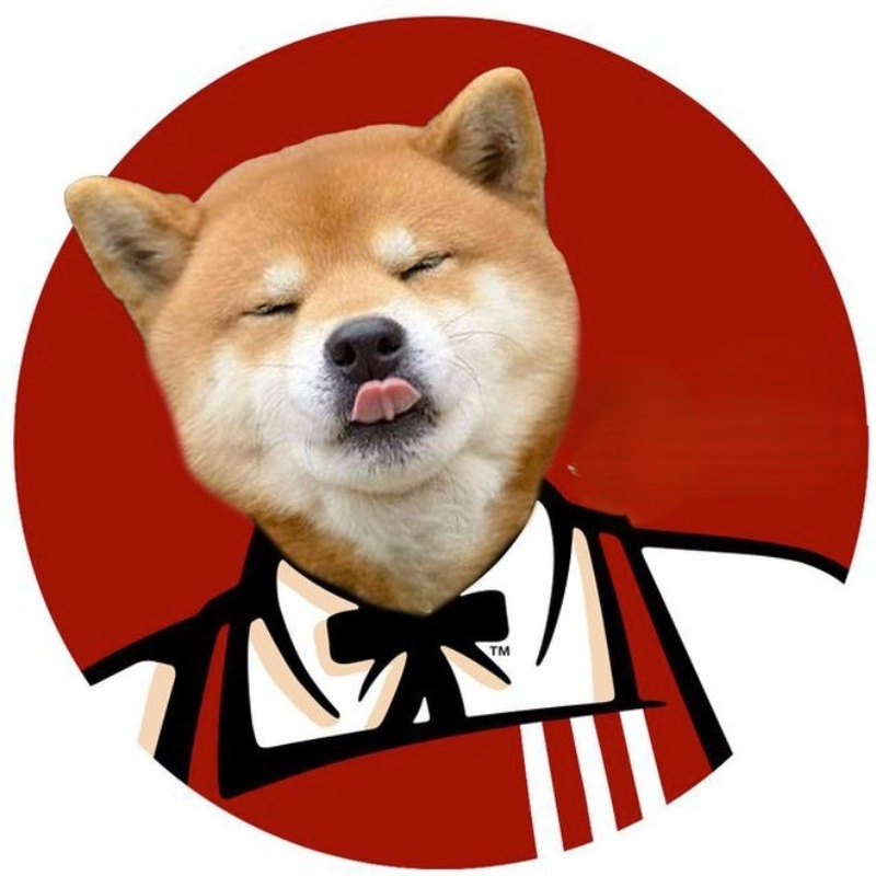 Meme chó hài hước cực kỳ ngộ nghĩnh