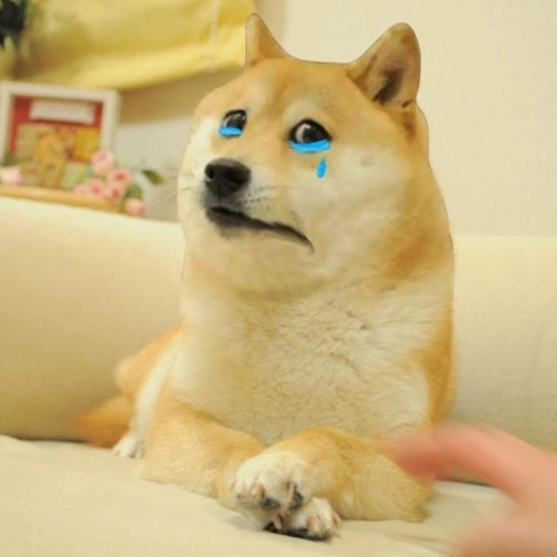 Meme chó buồn siêu dễ thương