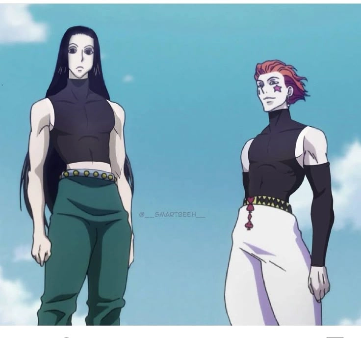 Hisoka x Illumi canon không nhưng fan vẫn tin điều đó