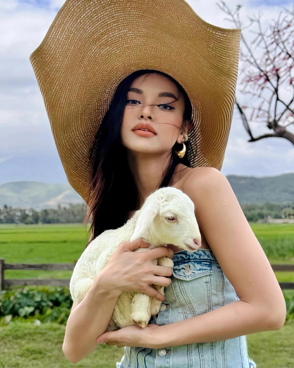 Mai Ngô có phải chuyển giới không không, cô là nữ từ nhỏ