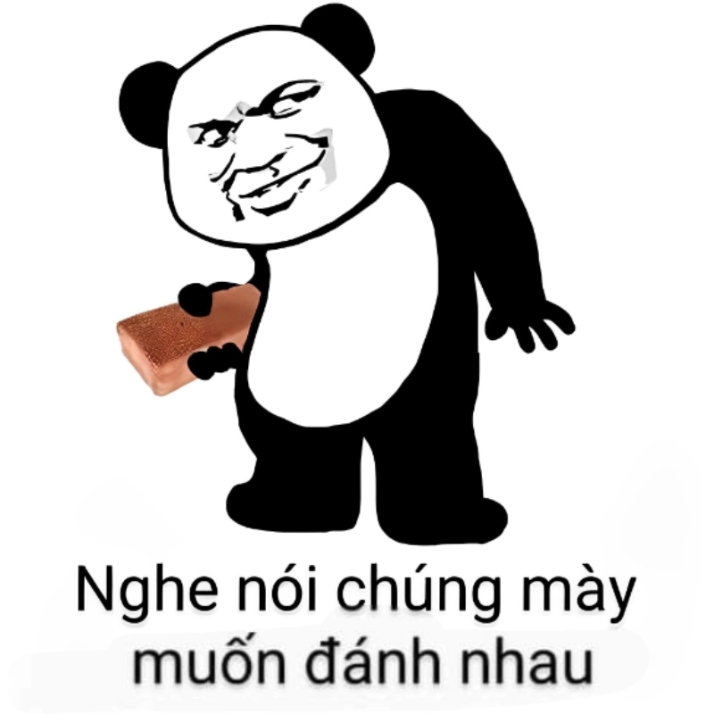 Những khoảnh khắc vui nhộn của ảnh chế meme gấu trúc khiến bạn không thể dừng cười
