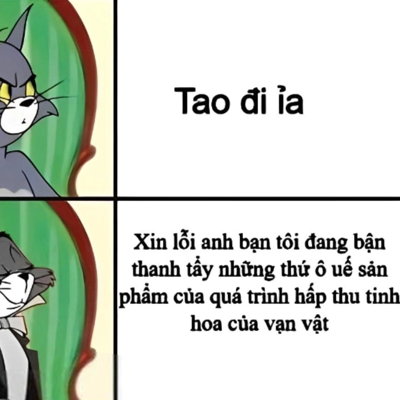 Những ảnh chế meme thiếu muối với sự hài hước có 1-0-2