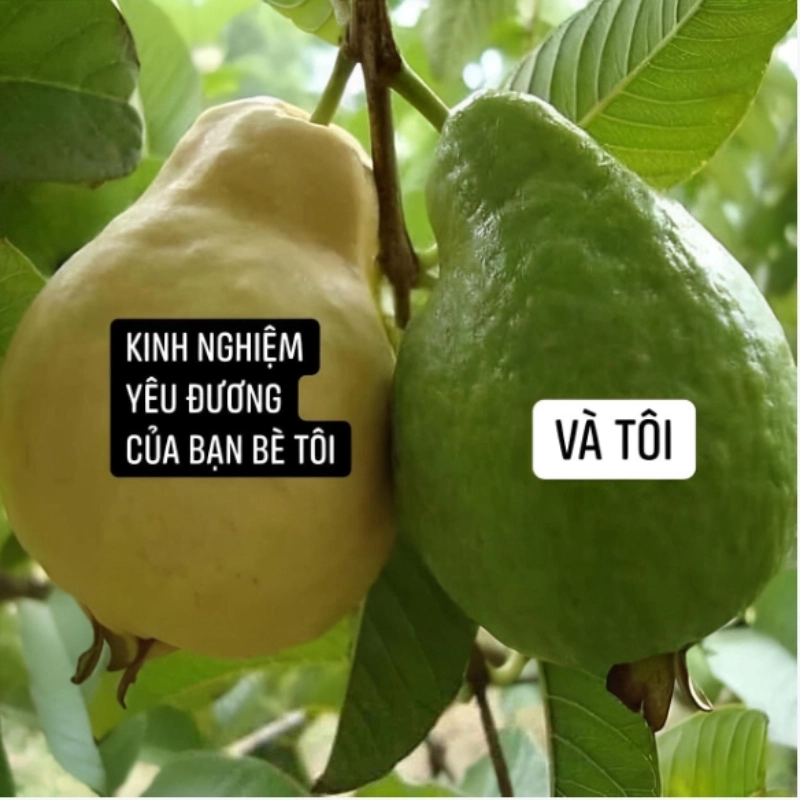 Những ảnh chế 6 múi không thể không khiến bạn phải bật cười vì sự hài hước